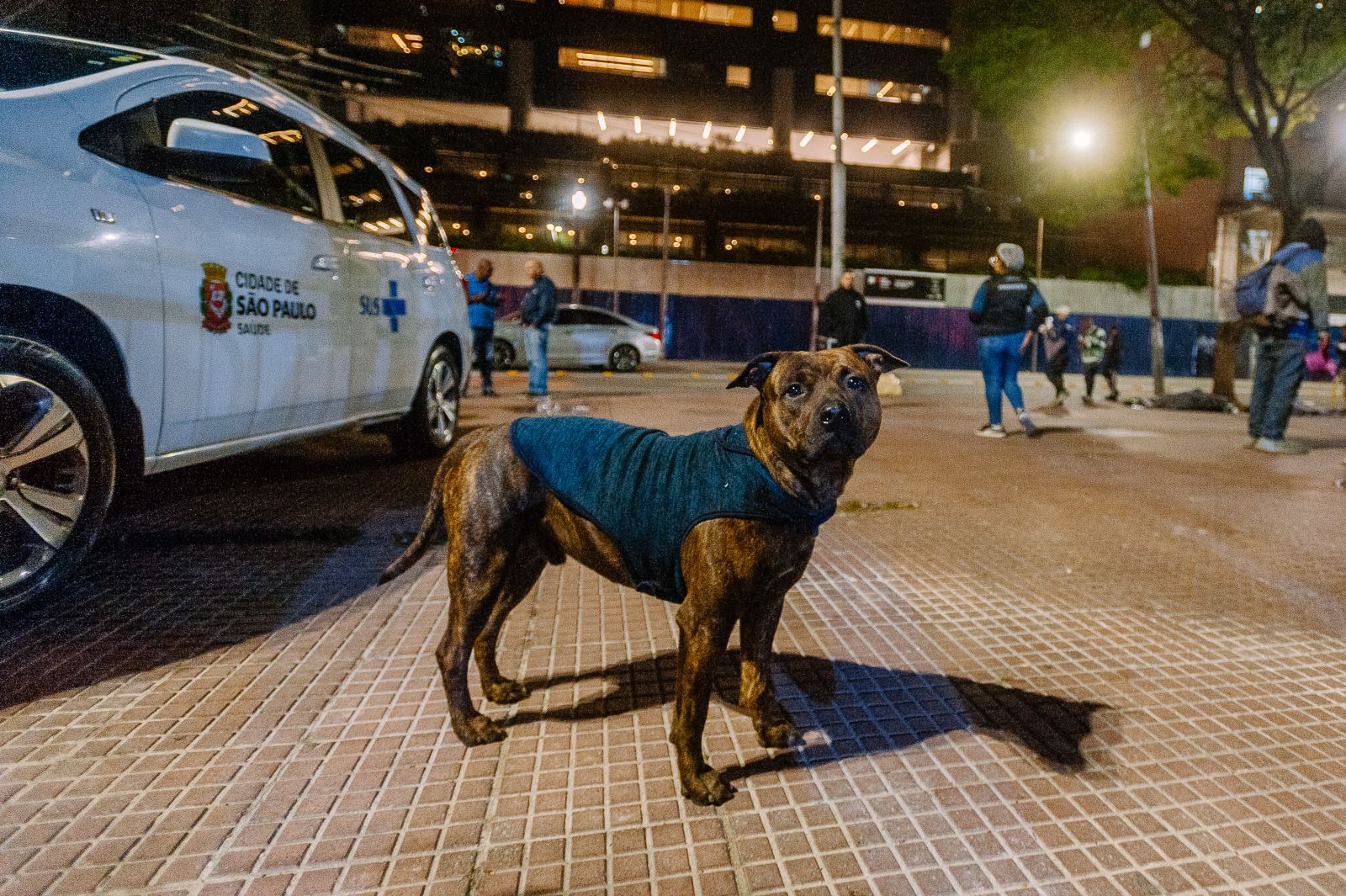 Imagem: Divulgação / Prefeitura de São Paulo
